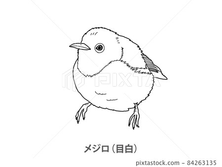 [縣鳥]白眼（目白）大分縣-線描 84263135