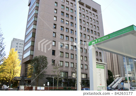 Aoyama Gakuin Aoyama Gakuin 84263177