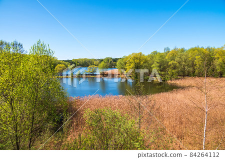 Spring view of the park Serebryany Bor in Moskow. A lake with trees on the shores in spring. Green Russian nature in spring Moscow. 84264112