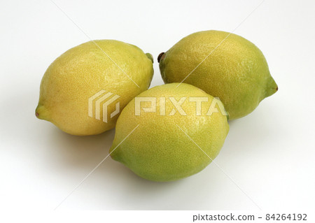 Domestic lemon Domestic lemon 84264192