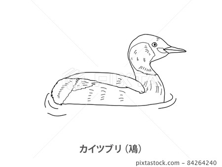 [Prefectural bird] Little Grebe (Feng) Shiga Prefecture-Line drawing 84264240