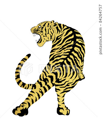 老虎圖 31 84264757