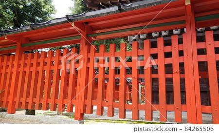 Tamagaki Tamagaki 84265506