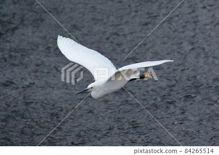 Heron Heron 84265514