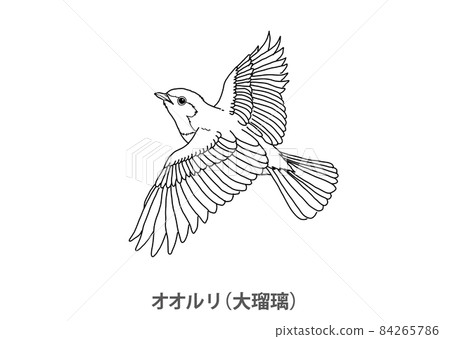 [縣鳥] 青花鶲（Ooruri）櫪木縣線描 84265786