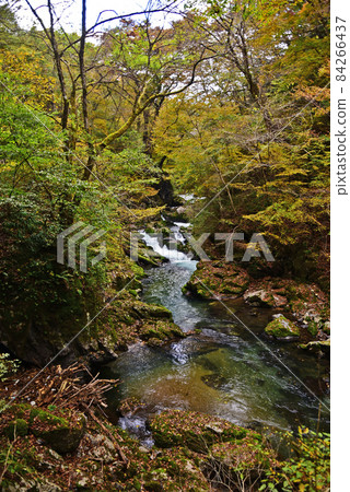 Taishaku Gorge (National Park, Scenic Beauty, Mountains of China, Tojo Town, Shobara City, Hiroshima Prefecture-Jinseki Kogen Town) 84266437