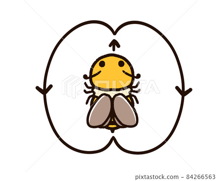 Bee dance figure eight 84266563