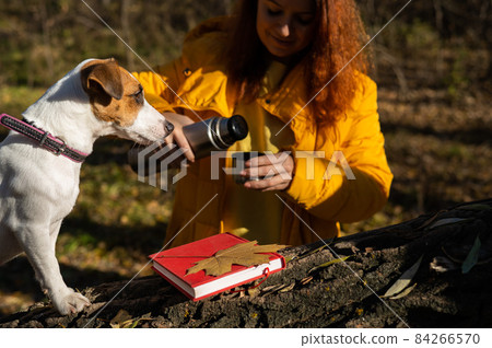 Caucasian woman pouring hot tea from thermos while walking with dog on warm autumn day. Caucasian woman pouring hot tea from thermos while walking with dog on warm autumn day. 84266570
