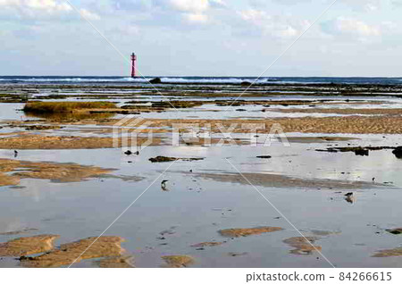 奄美大島海岸風光大瀨海岸 84266615