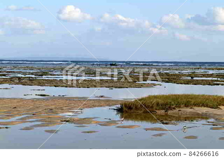 Amami Oshima coastal scenery Ose coast 84266616