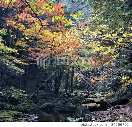 Red-Eyes Advance Falls 84266791