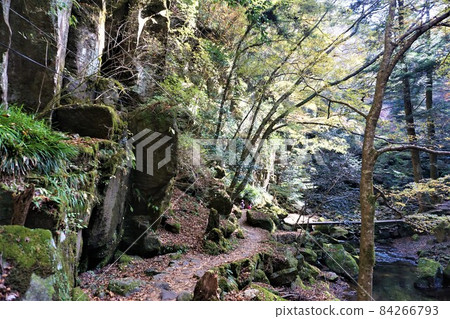 Red-Eyes Advance Falls 84266793