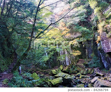 Red-Eyes Advance Falls 84266794