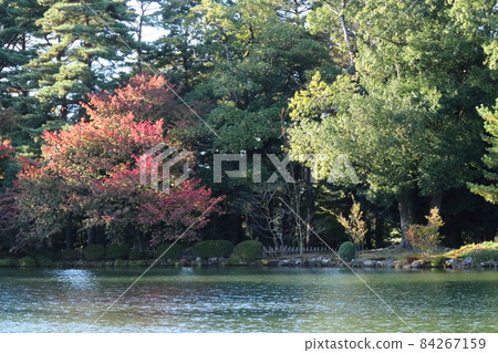 The waterside that has begun to color 84267159