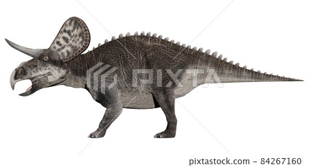 Zuniceratops ☆ Zuniceratops 84267160