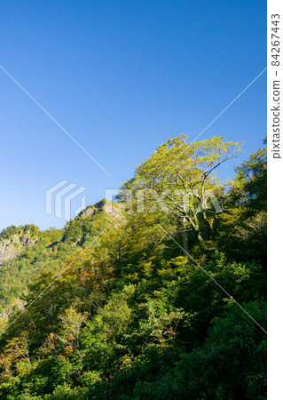 Mountain surface of Mt. Nokogiri, autumn color, fine weather Mountain surface of Mt. Nokogiri, autumn color, fine weather 84267443