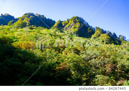 Autumn scenery, autumn leaves, yellow leaves, Kaiya massif, Niigata Autumn scenery, autumn leaves, yellow leaves, Kaiya massif, Niigata 84267445