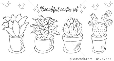 Set of cartoon images of cacti. Cacti, aloe, succulents. Collection Decorative natural elements Set of cartoon images of cacti. Cacti, aloe, succulents. Collection Decorative natural elements 84267567