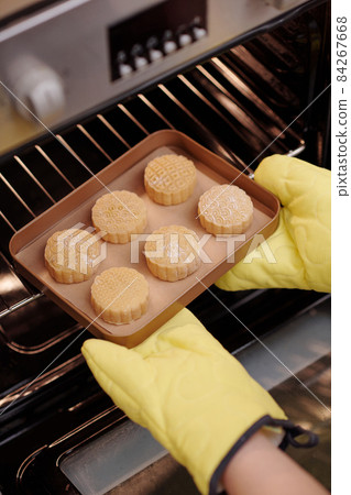 Housewife Putting Tray in Oven 84267668