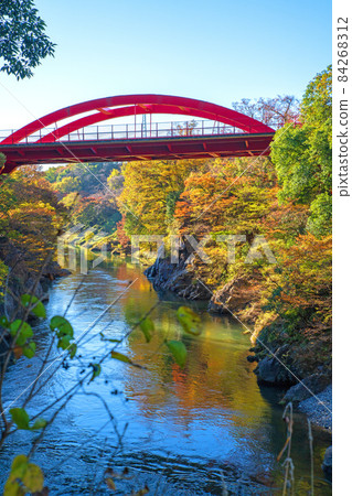 Takatsudo Gorge Takatsudo Gorge Takatsudo Bridge Autumn leaves and autumn scenery 84268312
