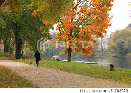 Happy young woman walking with her dog in park 84268876