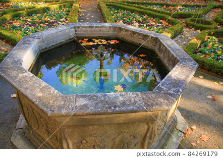 October Autumn Maple Leaf floating on a fountain water 84269179