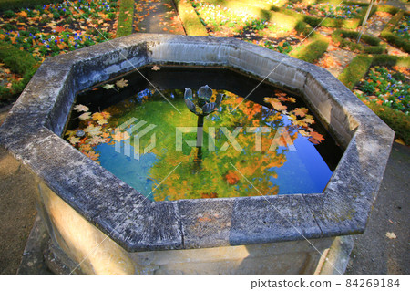 October Autumn Maple Leaf floating on a fountain water 84269184