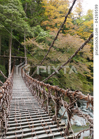 德島縣家矢之橋 德島縣家矢之橋 84269599