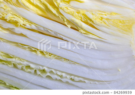 White background Chinese cabbage 1/4 cut White background Chinese cabbage 1/4 cut 84269939