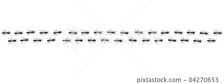 Ants marching in trail. Ant path isolated in white background. Vector illustration Ants marching in trail. Ant path isolated in white background. Vector illustration 84270653
