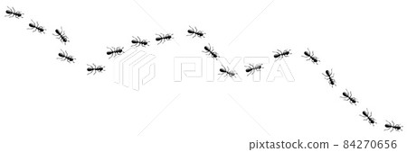 Ants marching in trail. Ant path isolated in white background. Vector illustration 84270656