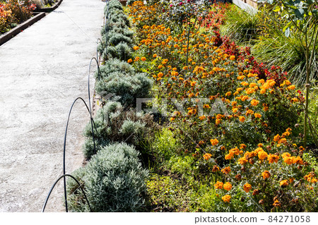Gardening on the edge of the sidewalk 84271058