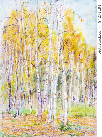 Birch grove in autumn Birch grove in autumn 84271191