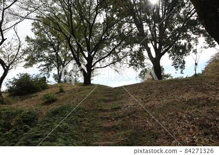 潔白的陽光,綠葉的大樹,爬山的階梯,青羊牙,青草,落葉枯草,遠處白雲藍天的景色 潔白的陽光,綠葉的大樹,爬山的階梯,青羊牙,青草,落葉枯草,遠處白雲藍天的景色 84271326