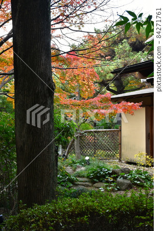Narukusan in Autumn Narukusan in Autumn 84271761