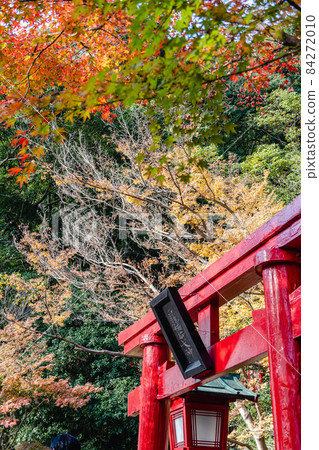 Umi Jigoku White Dragon Inari Okami Torii Autumn Leaves Umi Jigoku White Dragon Inari Okami Torii Autumn Leaves 84272010