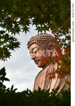 Burakuen佛和秋葉 Burakuen佛和秋葉 84272194