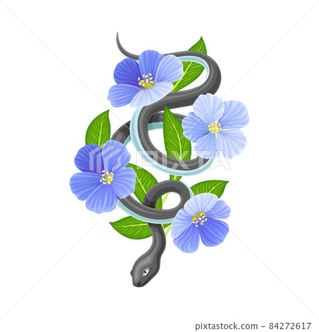 Snake coiled around blue flowers vector illustration on white background 84272617