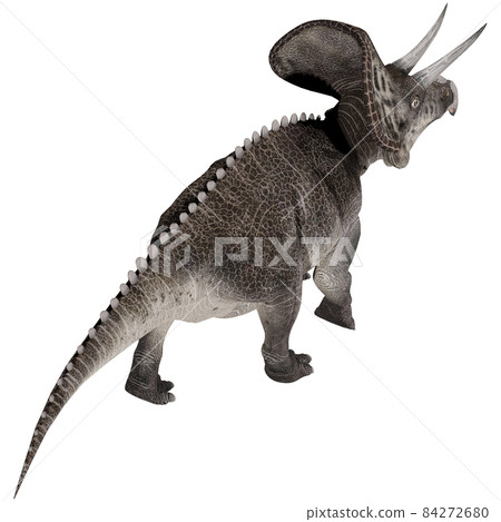 Zuniceratops ☆ Zuniceratops Zuniceratops ☆ Zuniceratops 84272680