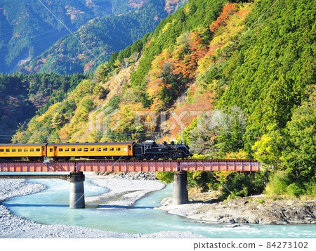 靜岡縣大井川4號橋秋葉和SL十一月 84273102