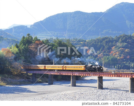 Shizuoka Prefecture Oigawa No. 4 Bridge Autumn Leaves and SL November 84273104