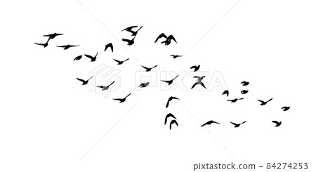 a flock of birds flying off. black and white vector illustration a flock of birds flying off. black and white vector illustration 84274253