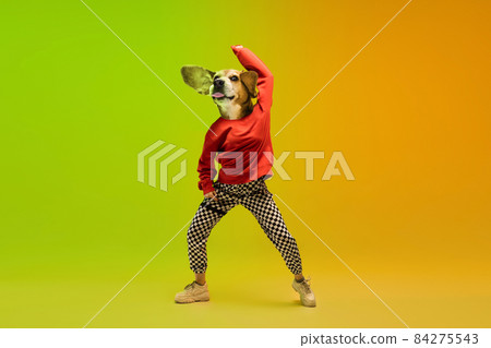 Dynamic portrait of woman, hip hop dancer headed of dog's head dancing isolated over gradient green-yellow background in neon light. Contemporary collage. 84275543