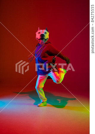 Contemporary collage. One hip hop dancer headed of dog's head dancing isolated over dark red background in neon light. Inspiration, idea, street dance style. Contemporary collage. One hip hop dancer headed of dog's head dancing isolated over dark red background in neon light. Inspiration, idea, street dance style. 84275555