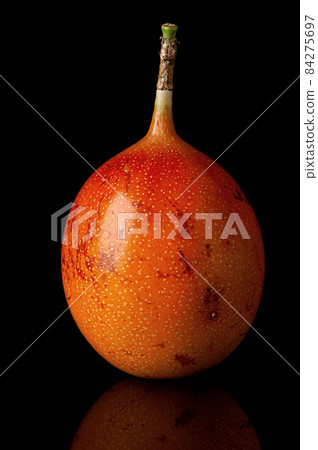 Whole tamarillo vertically with reflection isolated on black Whole tamarillo vertically with reflection isolated on black 84275697