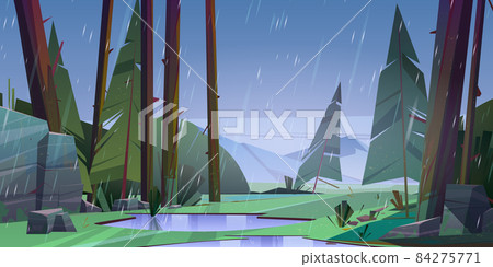 Forest at raining day scenery landscape 84275771