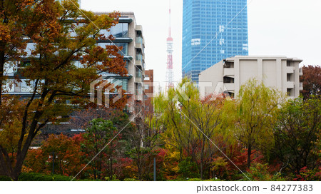 東京塔、摩天大樓和秋樹的風景 84277383