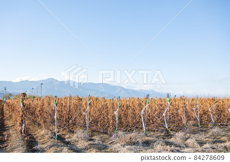 Autumn long fields and the Northern Alps Autumn long fields and the Northern Alps 84278609