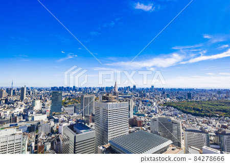 A bird's-eye view of Tokyo from the Tokyo Metropolitan Government Building 84278666