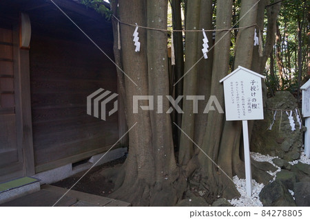 Kemigawa Shrine 84278805